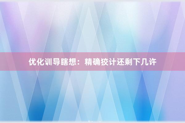 优化训导瞎想：精确狡计还剩下几许