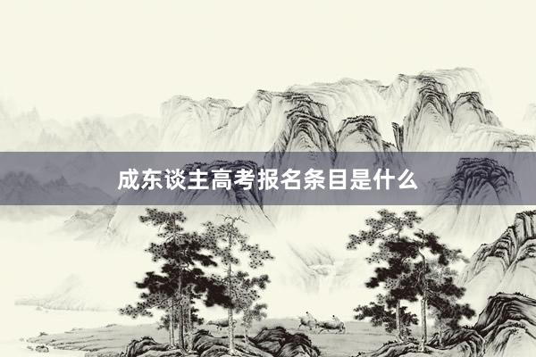成东谈主高考报名条目是什么