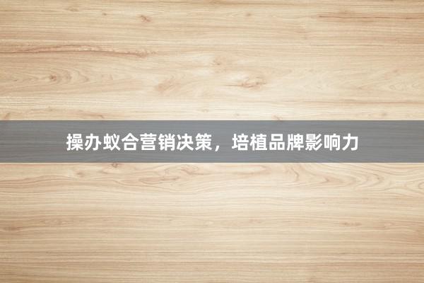 操办蚁合营销决策，培植品牌影响力